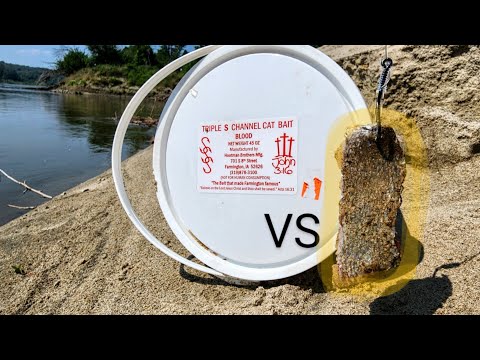 The BEST Summertime CATFISH BAIT!! (Cutbait vs Stinkbait)