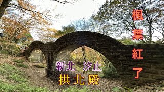 2022 -12   新北  汐止 拱北殿(楓葉紅了)12- 26攝