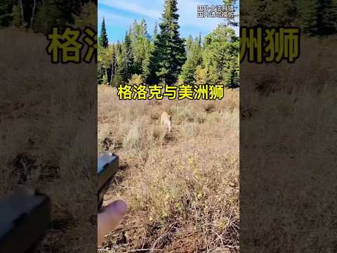 格洛克与美洲狮对决，你觉得谁更胜一筹？Glock and the cougar duel, who do you think is better?