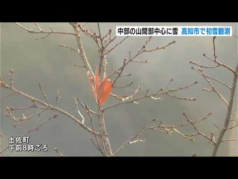 強い冬型の気圧配置　中部の山間部中心に雪 高知市で初雪観測