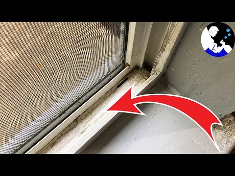 EASIEST Way To Clean Window Tracks 💥