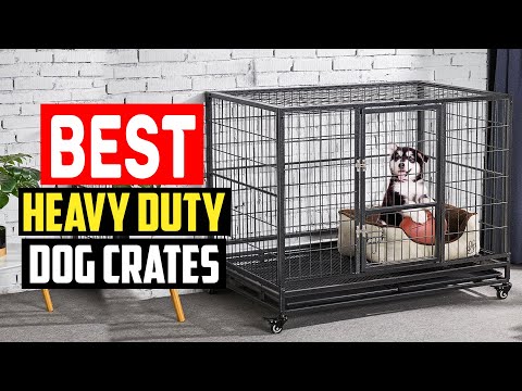 ✅Top 5 Best Heavy Duty Dog Crates in 2023