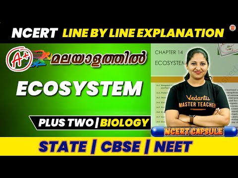 Ecosystem NCERT Line by Line| Plus Two Biology|NEET |CBSE|State Board @VedantuMalayalam