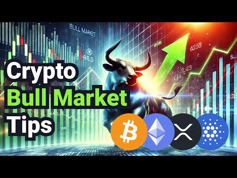 Crypto Bull Market Tips - I WISH I HAD KNOWN THESE!