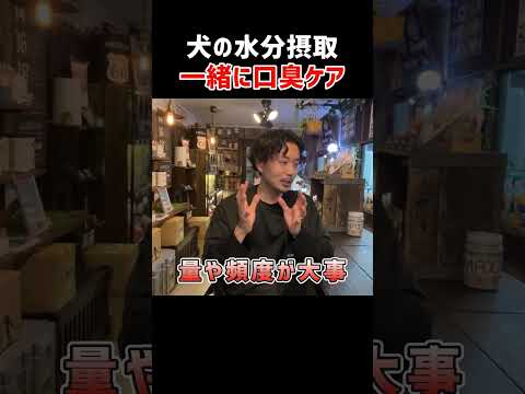 【犬の口臭ケア】アニマルウォーターの効果を底上げするには○○が大事【歯周病対策】