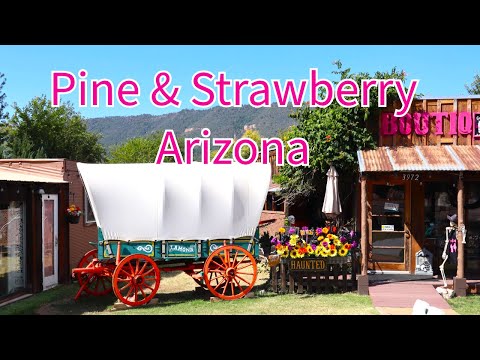 Pine Arizona / Strawberry Arizona