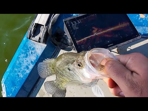 Summertime Crappie Fishing Using LIVESCOPE {catch Clean Cook}