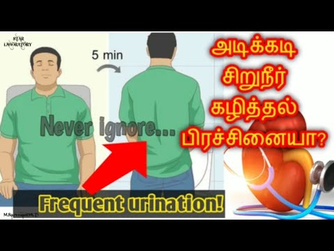 Are you suffering from "Frequent urination" /Frequent urination symptoms & treatment explained tamil