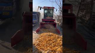 #shorts#ytshortvideo#cornfarming#heavymachinery#satisfyingvideo#growingfarming