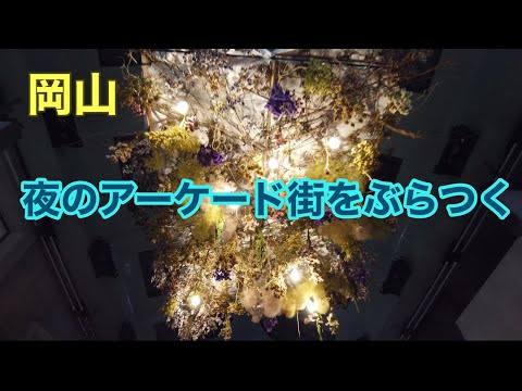 【岡山】夜のアーケード街をぶらつく