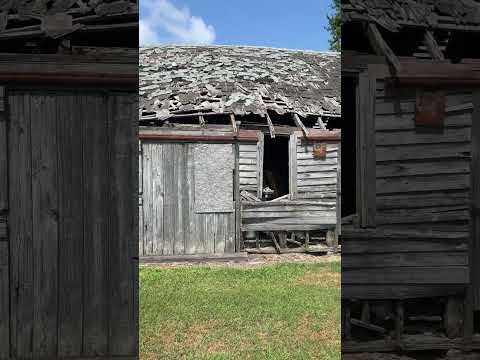 (short teaser video) Exploring an Abandoned Farm with a Chicken Coopo.