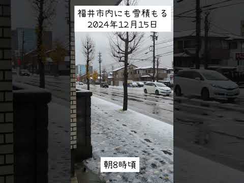 【積雪】今季初！THE福井のシャバ雪 福井市志比口 深夜2時頃降り積もって朝にはシャバシャバ！雪シーズン本格到来！