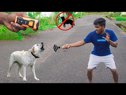 Dogs 🐕 Barking Device Testing….  Really Works? 7000rs Worth