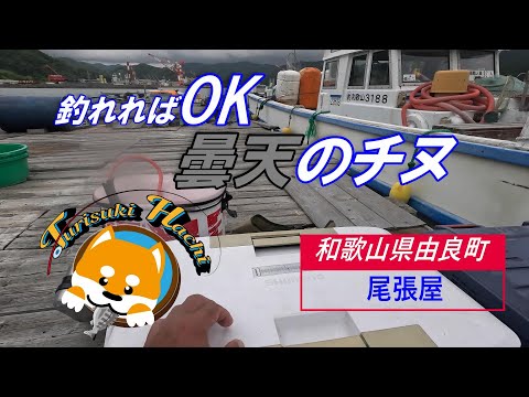 【かかり釣り】【筏チヌ】潮が流れると潮下に大きな魚がいると思い込んでしまう・・・へんですか？