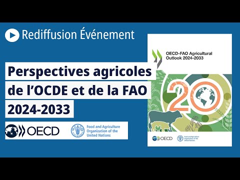 Lancement des Perspectives Agricoles 2024-33 de l’OCDE et de la FAO