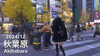 Weekday Walk in Tokyo: Akihabara - 2024/12