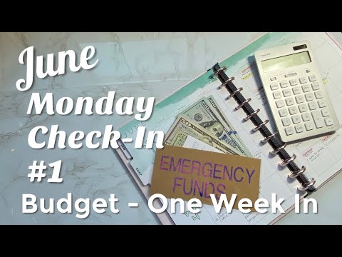 WEEKLY CHECK IN - June 8, 2020 | Budget With Me Weekly Status and Recap