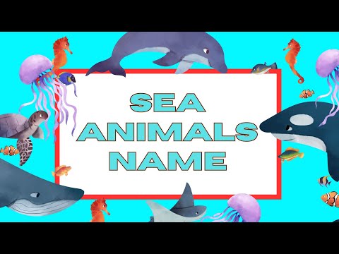 Learn About Sea Animals | Educational Sea Animal Names for Kids