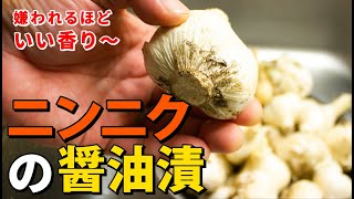 新にんにくの醤油漬け｜ホワイト六片を昆布と醤油に漬け込む