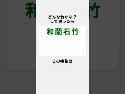 実は漢字がある植物【雑学】