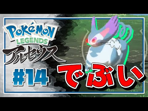 【 ポケモン アルセウス ＃14 】突然の親分ブニャットの出現についうっかり失礼なことを口走ってしまう【 Pokémon LEGENDS アルセウス 実況 】