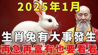 生肖兔注意了！2025年1月有大事發生，再急再富有也要花5分鐘看看！【禪語明心】#生肖 #運勢 #風水 #財運  #生肖運勢 #生肖運程  #預言