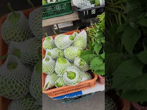 今晚，來一餐【蔬菜宴】豆芽+長豇豆+竹筍湯，完美結合，平衡一下兩周前的【高膽固醇】豪華餐宴 2024-8-20