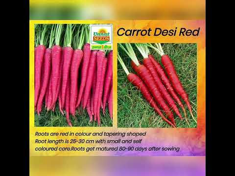 Unnat Seeds | Hybrid Seeds |Vegetables Seeds | Hybrid Vegetables Seeds |