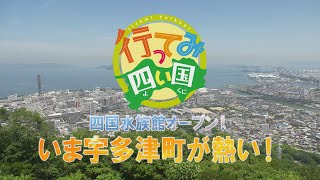 四国水族館オープン！いま宇多津町が熱い！