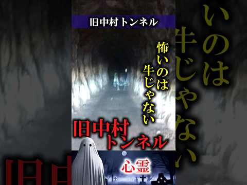 【心霊】香川県　旧中村トンネル　#怪談 #心霊 #ghost