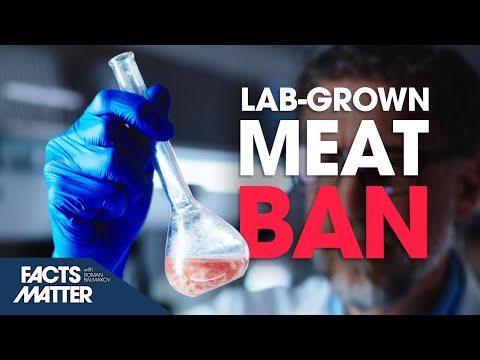 States Move to BAN "Lab-Grown Meat" After FDA Approval