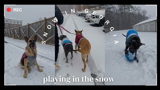 The dog’s reaction to snow ☃️❄️🌨️