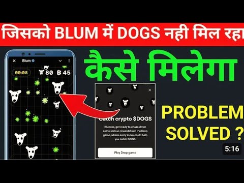 BLUM Airdrop FREE $DOGS Token scam🔥 blum new update, blum dogs airdrop scam blum dogs not received|