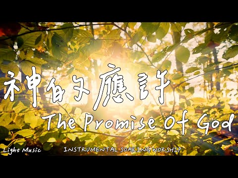 The Promise Of God | Soaking Music | Piano Music | Prayer Music |1 HOUR Instrumental Soaking Worship