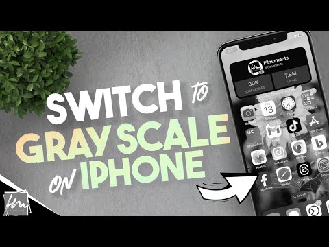 How to switch Grayscale on iPhone