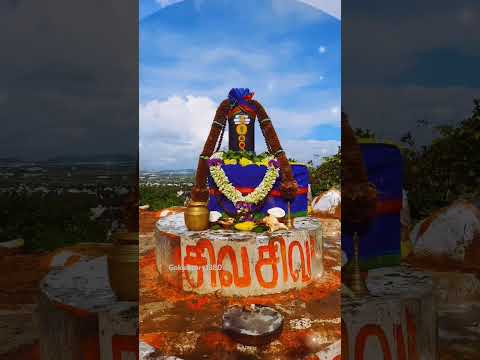 ஓம் நமசிவாய 🪷Ohm Nama Sivaya 🪷#shiva🙏 #shiva #tamil #2024 #tiruvannamalai