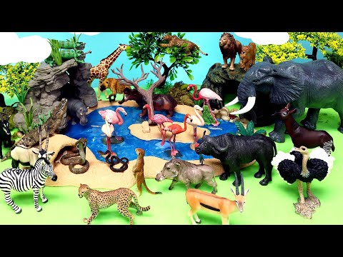 Groups of African Animals - Learn Animal Names for Kids