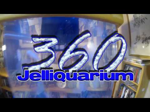 Jelliquarium 360