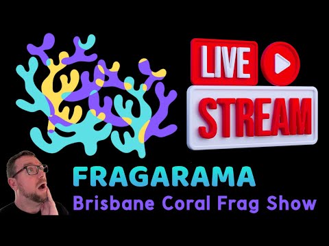 Fragarama 2024 - LIVE