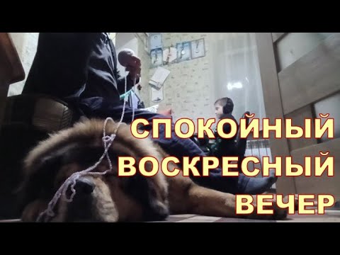 СПОКОЙНЫЙ ВОСКРЕСНЫЙ ВЕЧЕР 🙃🙃