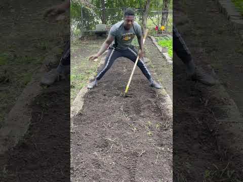 The Oldest Community Garden in Houston