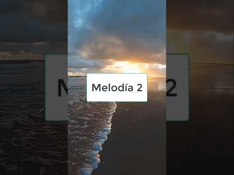 ¡Decide el Ritmo! 🎵 Elige entre Tres Melodías Exclusivas y Forma Parte de Nuestro Proceso Creativo🤝✨