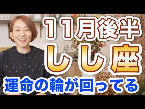 しし座 11月後半の運勢♌️ / 運命の輪が回ってる🌈 目の前に起きること全て吉兆のサイン❗️本当にやりたかったことをやってみる時✨【トートタロット & 西洋占星術】