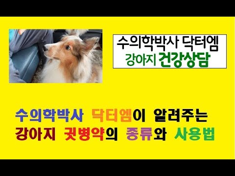 수의학박사 닥터엠이 알려주는 강아지 귓병약 종류와 사용법