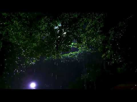 Beautiful Relaxing Piano Music with Rain Sounds