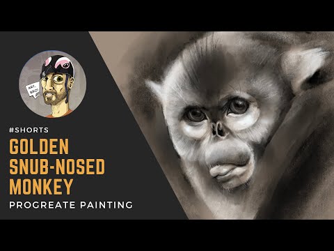 Speedpaint - Golden snub-nosed monkey in Procreate #shorts