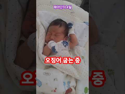 생후 4일째 오징어 굽는 아기  !? #아기 일상 #아기 #오징어 #꿈  #cute #baby #4일차아기