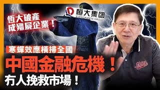 中國金融危機滾滾來！冇人挽救市場！恆大破產成殭屍企業！寒蟬效應橫掃全國！大眾減少開支縮衣節食！經濟終將重重落地！《蕭若元：理論蕭析》2022-10-08