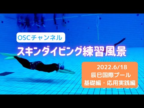 ドルフィンキックをマスターしてイルカと一緒に泳ごう！OSCスキンダイビング講習会（応用実践編）の練習風景（フォームチェック動画） in 東京辰巳国際水泳場