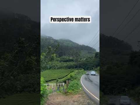 Beautiful view of Munnar. The god’s own country #shorts #youtube #reels #tiktok #nature #love #fun